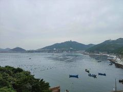 -枸杞岛