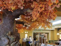 -君邦火锅(新疆大厦店)
