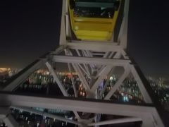 -锦江乐园舞狸花花游园会(夜场专享)