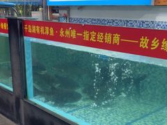 -故乡缘·香格里拉山庄(冷竹路店)