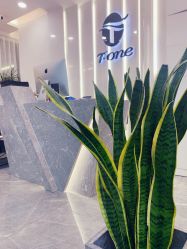 -AYO SALON