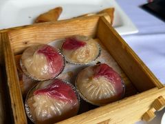-南宁荔园维景国际酒店·荔园中餐厅