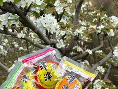 -长发西饼(临顿路店)