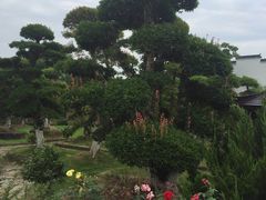 景点-武汉紫薇都市田园