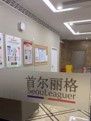 -上海首尔丽格医疗美容医院