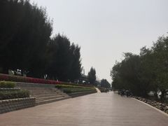 -宝安西湾红树林湿地公园