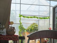 -马陆小张葡萄园农家乐