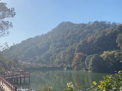 -桃花岭景区
