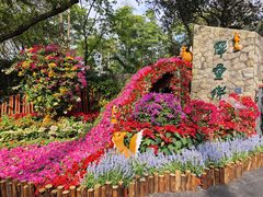 -广州市白云山风景名胜区