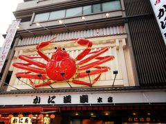 -蟹道乐(道顿堀本店)