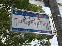 -武汉大学-樱园