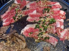 -杨记齐齐哈尔烤肉(总店)