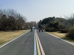 -同里国家湿地公园