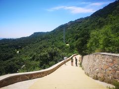 -北京西山国家森林公园