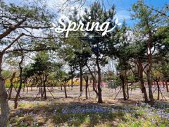 -大兴滨河森林公园