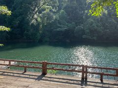 -鼎湖山风景区