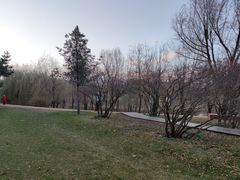 -长春公园(普阳街道)