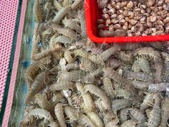 -潮香阁海鲜餐厅(较场尾店)