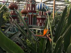 -南宫五洲植物乐园