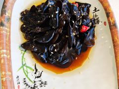 -云中小雅