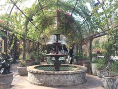 -The Grounds of Alexandria