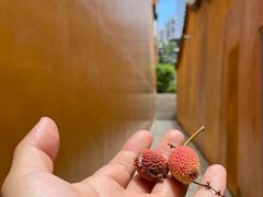 -福州开元寺