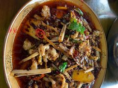 火爆牛胸膘-小杨翘脚牛肉
