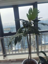 -HEYAN荷妍专业脱毛连锁机构