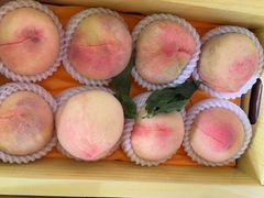 -南汇水蜜桃采摘(大团店)