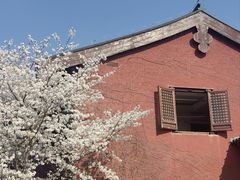 -广富林郊野公园