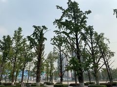 -百林公园-两江幸福广场