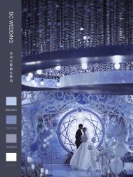 -DC大蔡婚礼策划(李公堤店)
