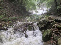 -本溪汤沟绿石谷森林公园