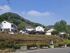 -龙井村