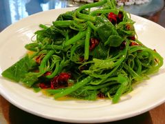 -云里小坐·小院里·团建·宴请·下午茶(三圣乡店)
