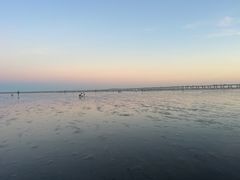 -南汇新城海滩