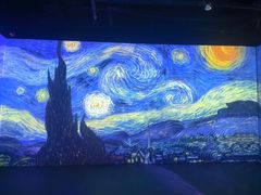 -成都梵高星空艺术馆(春熙路旗舰店)
