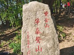 -紫金山山顶公园
