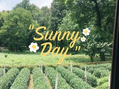 -野蔓果·山野菜(西湖景区·龙井茶田店)