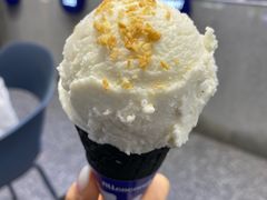马蹄豆乳椰-蔻蔻椰·鲜萃椰子水(COCO Park店)