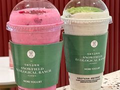 -茉酸奶(春熙路店)