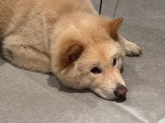 -Seeking Coffee咖啡(新竹路店)