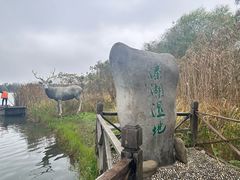 -溱湖国家湿地公园
