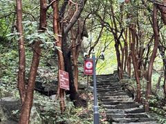 -宁波五龙潭景区