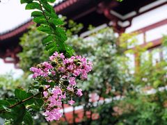 -西安华清御汤酒店