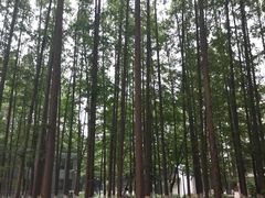 -南京航空航天大学(明故宫校区)