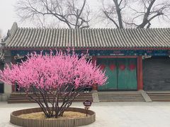 -恭王府博物馆