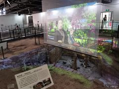 -南越王博物院(王宫展区)