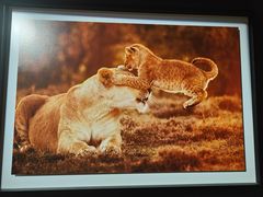 -罗红摄影艺术馆