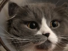 -安安宠医·安宠宠物医院